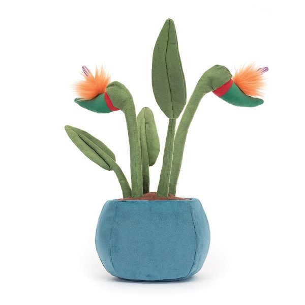 Jellycat | Amuseable Bird of Paradise Online-Schn?ppchen – Bild 3